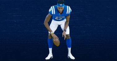 Football Celebration GIF by Indianapolis Colts
