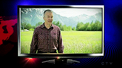 daily show