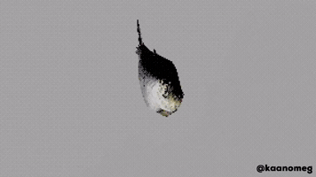 Fish GIF