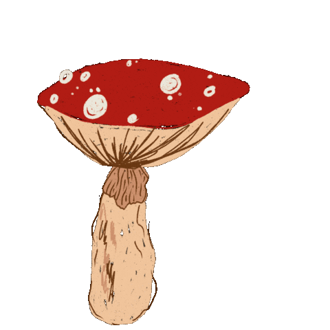 Mushroom Sticker