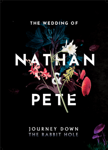 Nathanandpete GIF