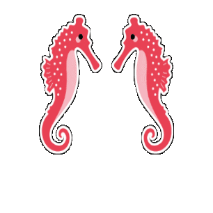 애프터스윔 AFTERSWIM Sticker