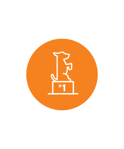 Dogtopia Canada Sticker