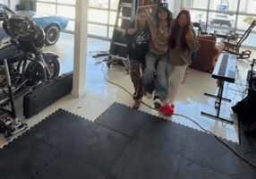 lamb GIF