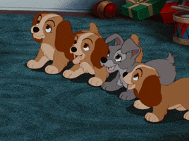 Excited Lady And The Tramp GIF