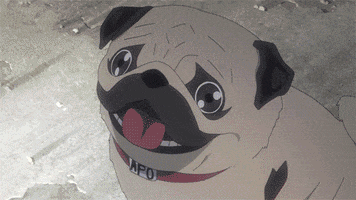 Anime gif. Pug stares directly into a beam of light as the radiating energy engulfs it in a white glow and almost blows it away.