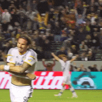 Excited Fired Up GIF by LA Galaxy
