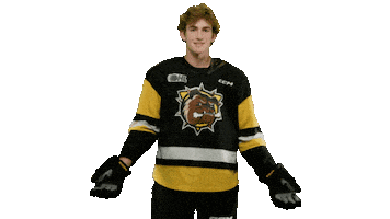 Brantford Bulldogs Sticker