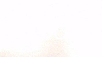 Celebration Goal GIF by FC Red Bull Salzburg