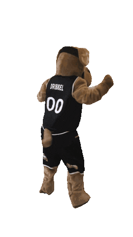 Basketbal academie Limburg Sticker