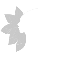 HealthCie Sticker