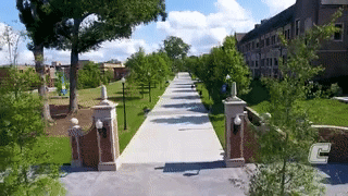College Campus GIF by The University of Tennessee at Chattanooga