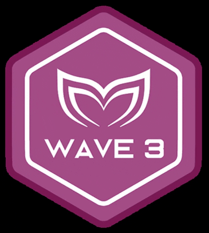 Wave3 GIF by Molchanovs
