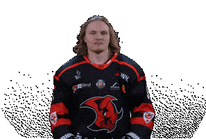 Fight Win Sticker by Saale Bulls