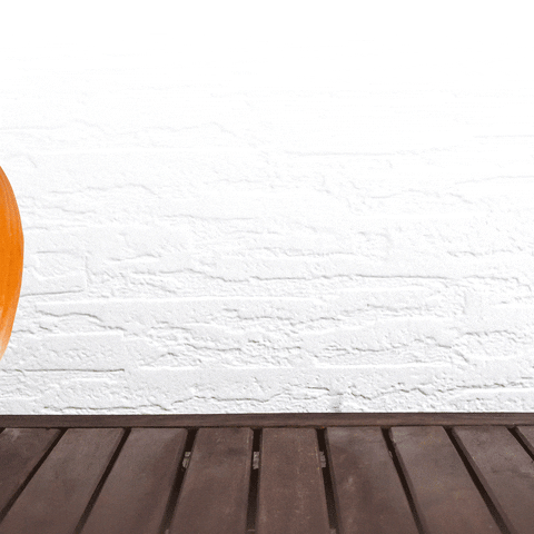 Nourish Pumpkin Spice GIF by Amy Myers MD