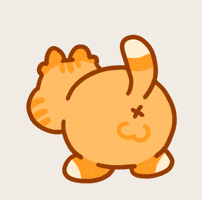 Dance Cat GIF