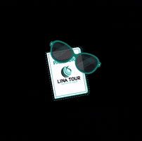 Viajes Lina Tour GIF