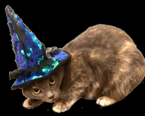 Witch Cat GIFs - Get the best GIF on GIPHY