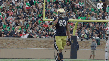 First Down Nd Football GIF by Notre Dame Fighting Irish