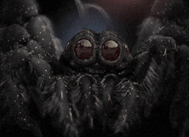 GIF by Prosa