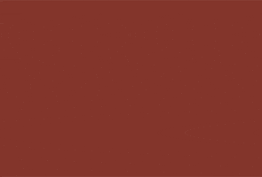 RAJO SLOVENSKO GIF