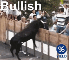 Cryptocurrency Bull GIF by YIELD