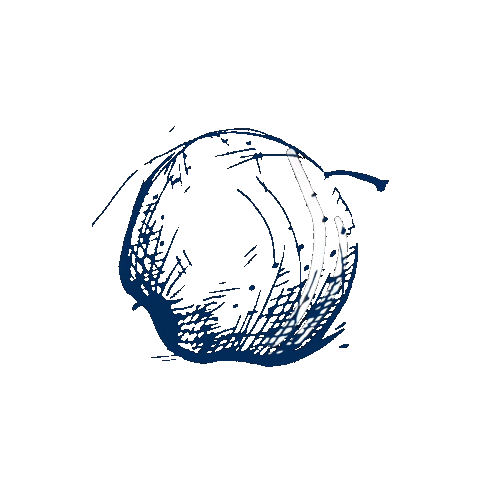 norderd Sticker