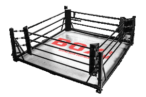 Rangertrooper Sticker by Box RM