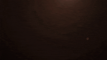Horse GIF