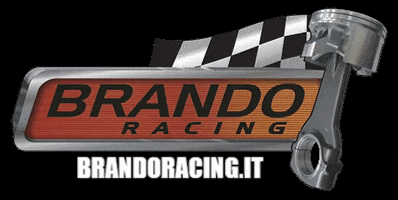 Brando Renzoni GIF by Brando Racing