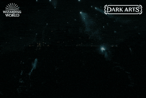 Dark Arts Magic GIF by Harry Potter