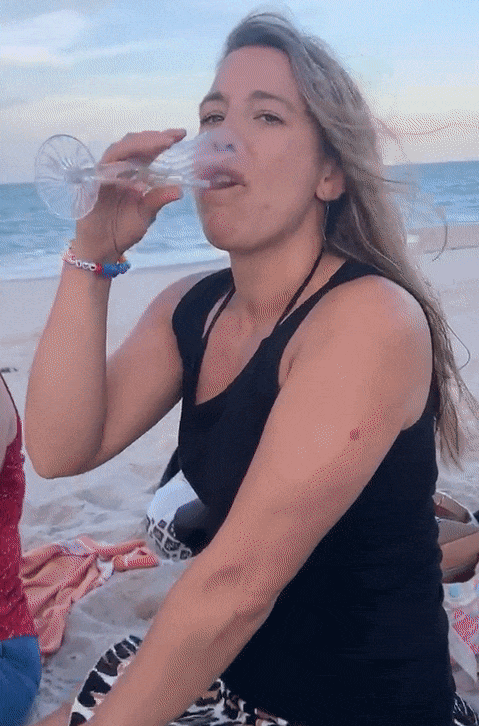 GIF by Idlewild Co.