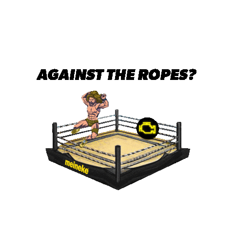 Car Care Wwe Sticker by Meineke Car Care