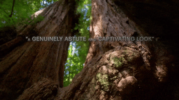 Provocative GIF