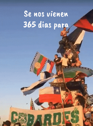 Chiledesperto GIF
