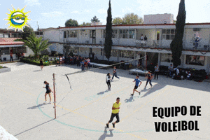 Voleibol GIF