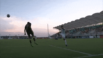 Soccer Save GIF by New Mexico United