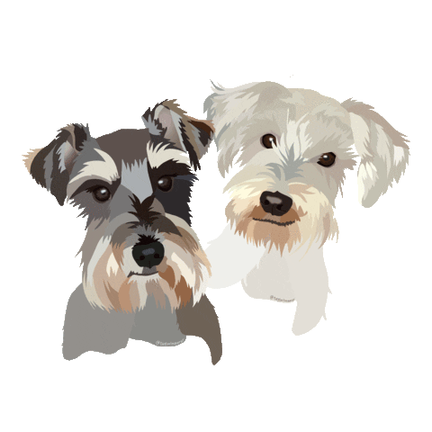 Animated Sticker