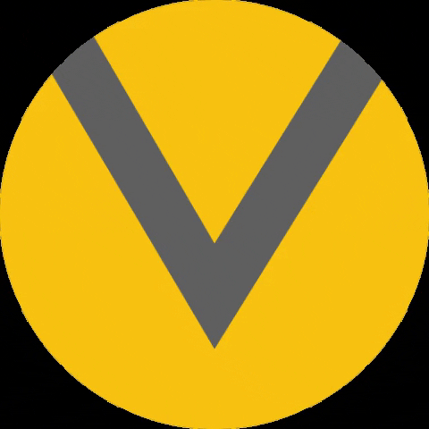 Vizeum Germany GIF