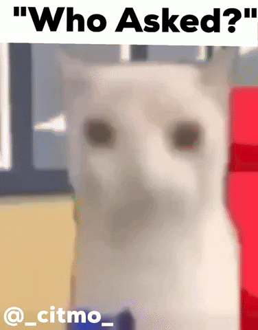 Who Asked GIF by Citmo