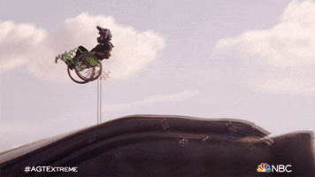 Extreme Sports Wow GIF by America's Got Talent