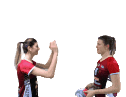 Volleyball Sticker by Olimpia Teodora Volley