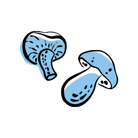 Vegetables Veggie Sticker by fitlicity