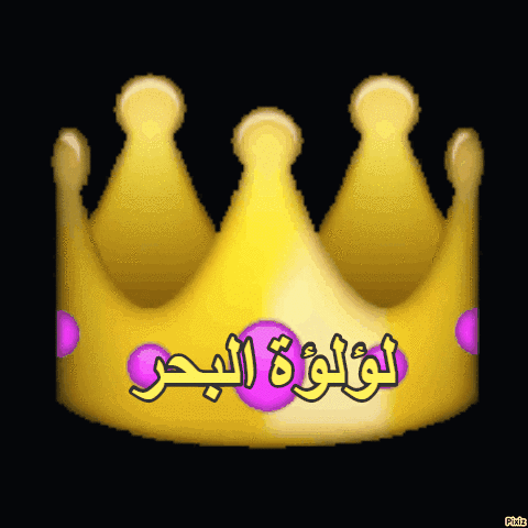 SIMO_simo  GIF