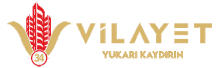 Vilayet 34 Gayrimenkul Sticker