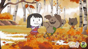 Autumn Leaves Fall GIF by PBS KIDS