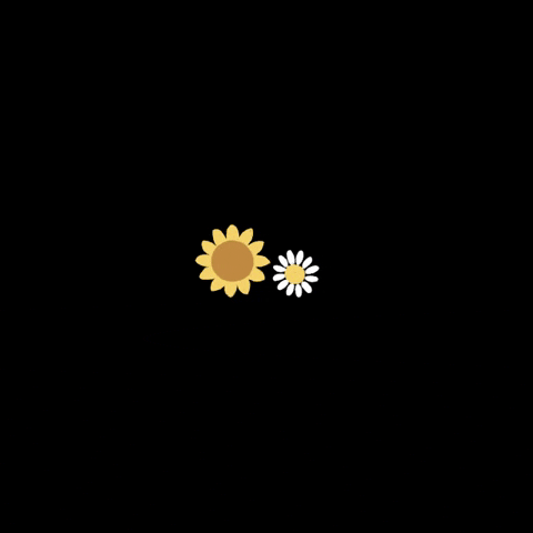 Shumpet GIF