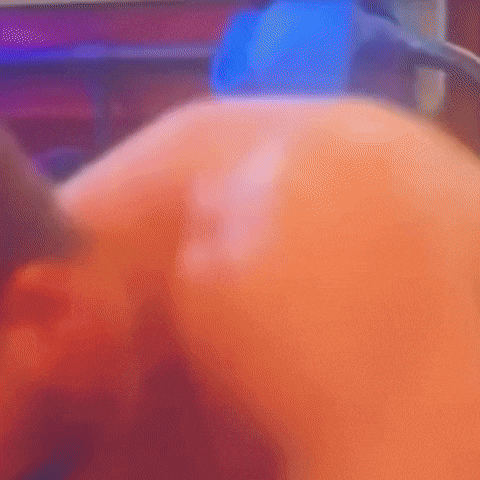 Big Brother GIF