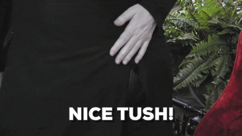 giphy.gif