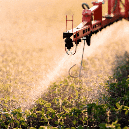 Adjuvante GIF by Grupo Inquima